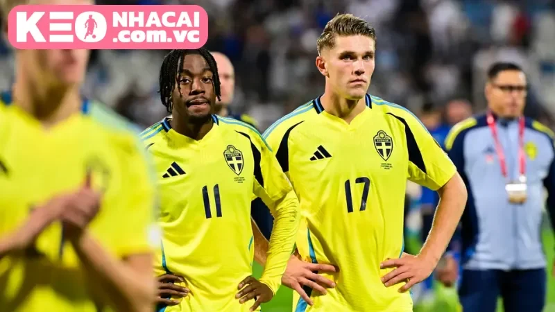 Đánh giá chuyên sâu hai đội Sweden vs Slovenia theo Kèo Nhà Cái VC