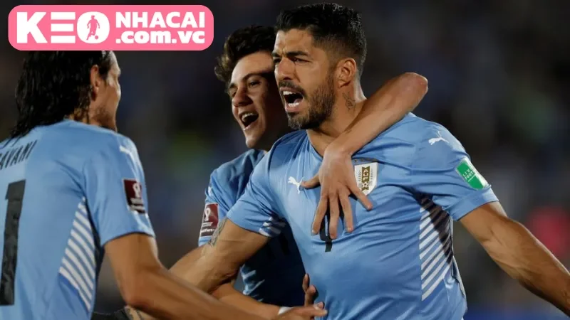 Lịch sử đối đầu của hai đội USA vs Uruguay trong quá khứ